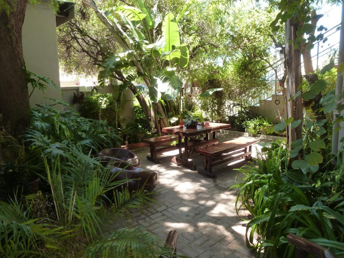 Springbok Apartments Ngoại thất bức ảnh